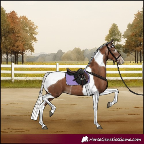 Horse Color:Gray Silver Black Pearl Tobiano 