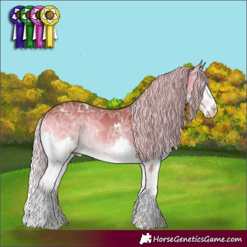 Horse Color:White Spotted Chocolate Silver Brown Ice Onyx Splash 