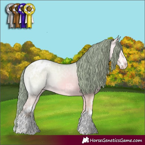 Horse Color:Watercolor White Spotted Buckskin Ice Onyx Appaloosa