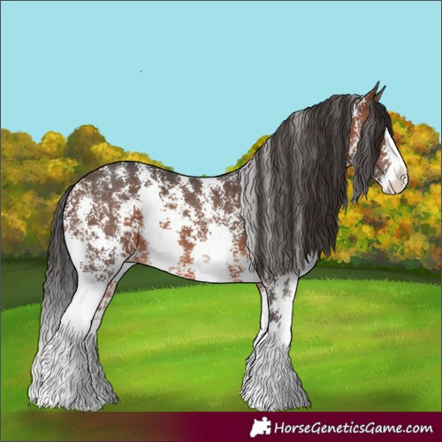Horse Color:Brown Sabino Splash 