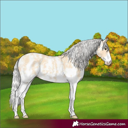Horse Color:Silver Buckskin Sabino 