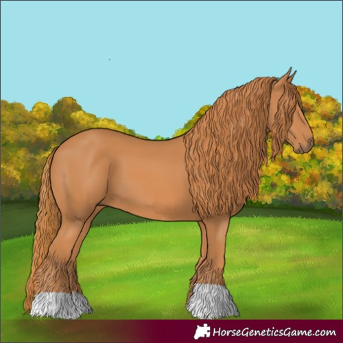 Horse Color:Chestnut 