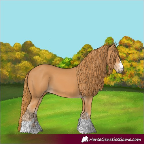 Horse Color:Unknown 