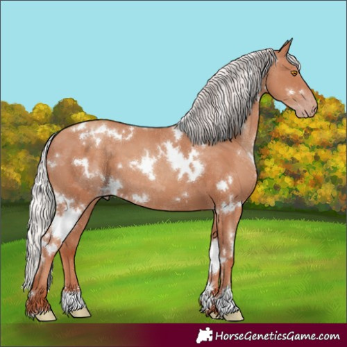 Horse Color:White Spotted Silver Classic Champagne 