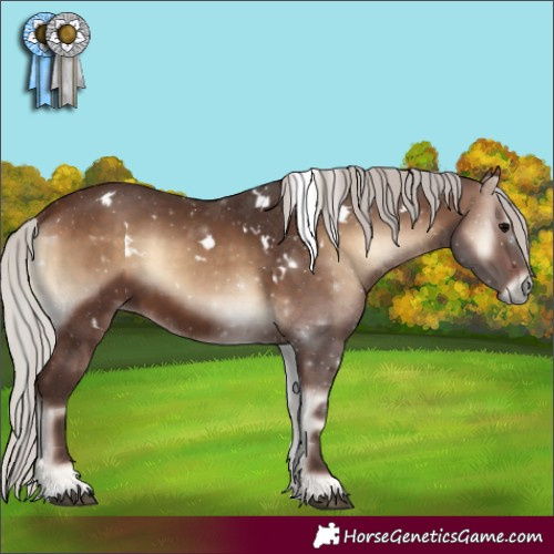Horse Color:White Spotted Silver Brown Onyx 