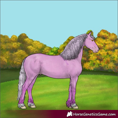 Horse Color:Watercolor Silver Classic Champagne Dun 