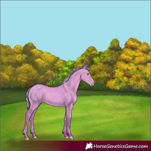 Horse Color:Watercolor Silver Classic Champagne Dun 