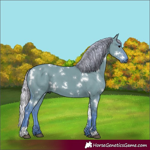 Horse Color:Watercolor White Spotted Silver Grullo 
