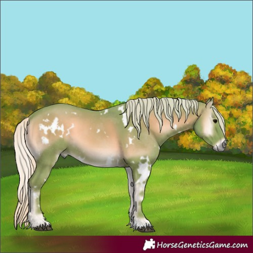 Horse Color:Watercolor White Spotted Silver Blue Onyx 