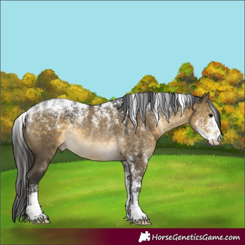 Horse Color:Powder White Buckskin Dun Rabicano 