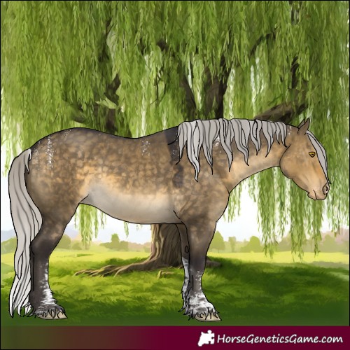 Horse Color:Powder White Silver Buckskin Dun Tobiano Varnish Rabicano 