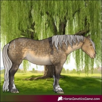 Horse Color:Powder White Silver Buckskin Dun Tobiano Varnish Rabicano