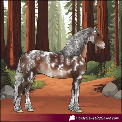 Horse Color:Powder White White Spotted Silver Brown Rabicano 