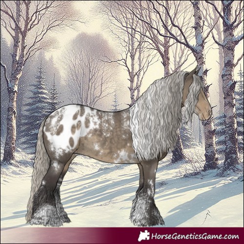 Horse Color:Powder White White Spotted Silver Smoky Grullo Blanket Rabicano 