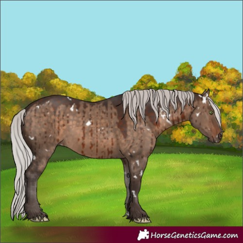 Horse Color:White Spotted Silver Brown Dun Rabicano Brindle 
