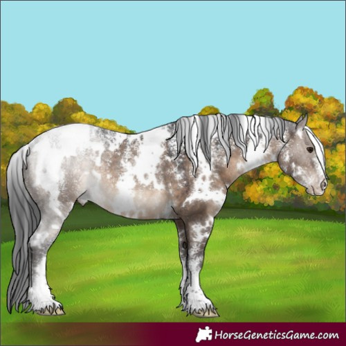 Horse Color:Powder White White Spotted Brown Dun Rabicano