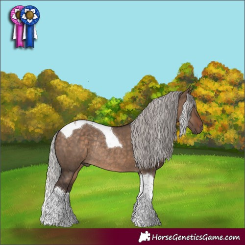 Horse Color:Silver Brown Dun Tobiano Rabicano 