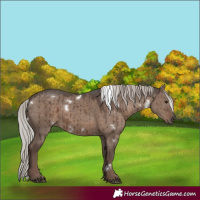 Horse Color:White Spotted Silver Grullo Rabicano Brindle