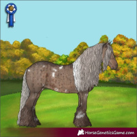 Horse Color:White Spotted Silver Grullo Rabicano Brindle