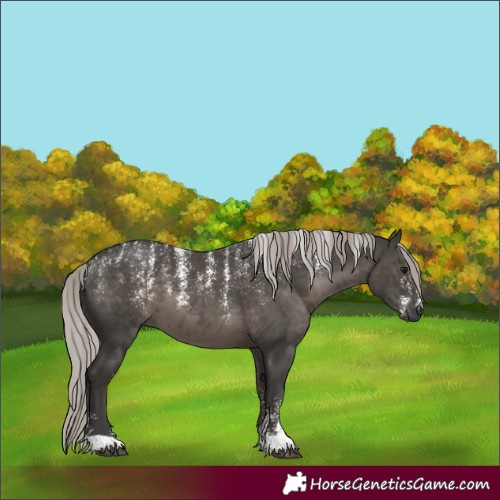 Horse Color:Powder White Gray Silver Black