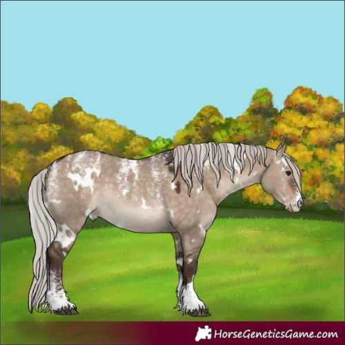 Horse Color:Powder White White Spotted Silver Brown Dun Rabicano