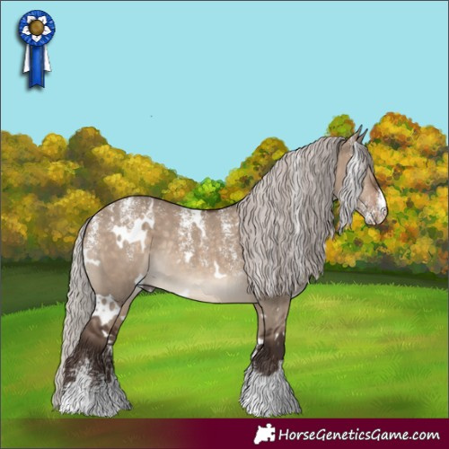 Horse Color:Powder White White Spotted Silver Brown Dun Rabicano 