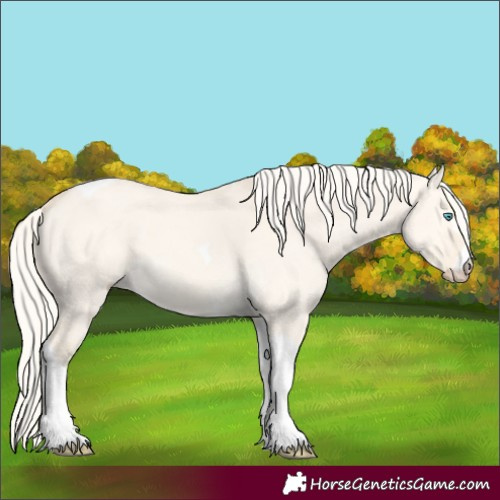 Horse Color:Cremello Dun Tobiano 