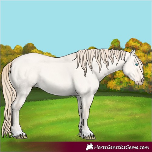Horse Color:Perlino Dun 