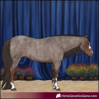 Horse Color:Liver Red Roan