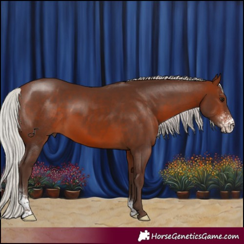Horse Color:Silver Brown Sabino 