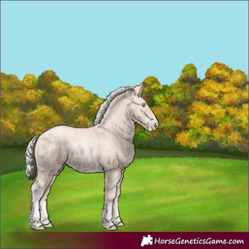 Horse Color:Gold Cream Champagne Pearl 