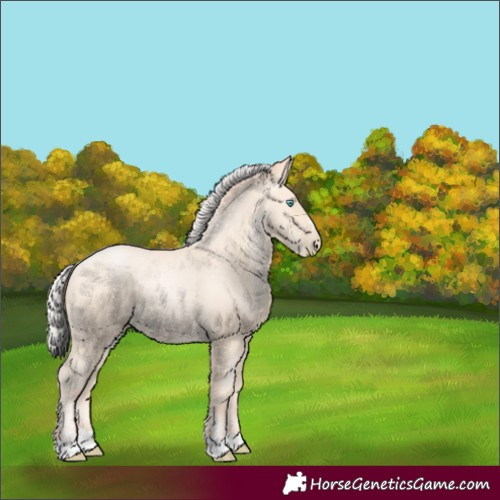 Horse Color:Silver Amber Cream Champagne Pearl 