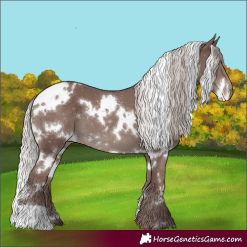 Horse Color:White Spotted Chocolate Silver Black