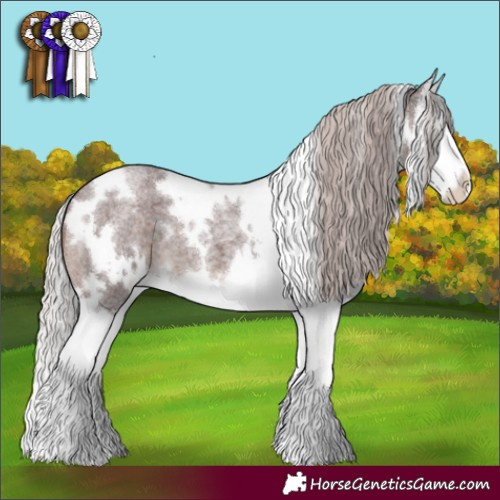Horse Color:White Spotted Chocolate Silver Brown Roan Splash 