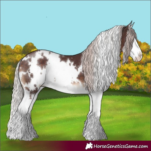 Horse Color:White Spotted Chocolate Silver Brown Splash