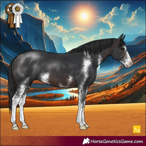 Horse Color:Brown Sabino
