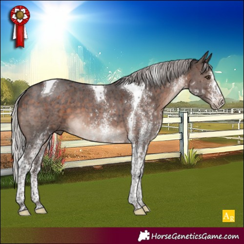 Horse Color:White Spotted Silver Brown Mushroom Tobiano