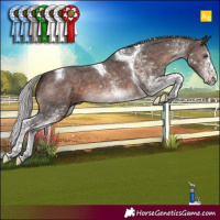 Horse Color:White Spotted Silver Brown Mushroom Tobiano