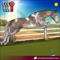 Horse Color:White Spotted Silver Brown Mushroom Tobiano