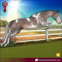 Horse Color:White Spotted Silver Brown Mushroom Tobiano