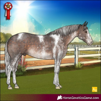 Horse Color:White Spotted Silver Brown Mushroom Tobiano