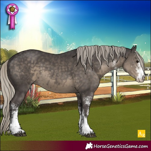 Horse Color:White Spotted Silver Smoky Black 
