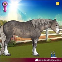 Horse Color:White Spotted Silver Smoky Black