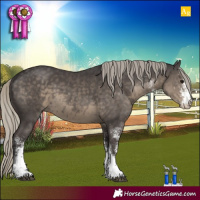 Horse Color:White Spotted Silver Smoky Black 