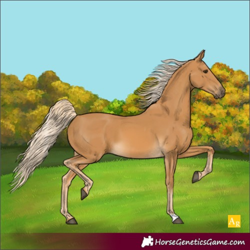 Horse Color:Palomino
