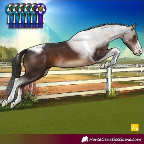 Horse Color:White Spotted Brown Tobiano Varnish 