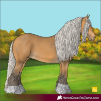 Horse Color:Silver Buckskin 