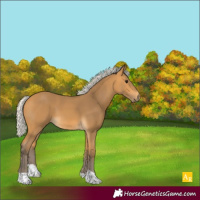 Horse Color:Silver Buckskin 