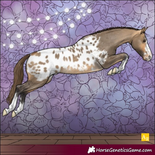 Horse Color:Buckskin Dun Blanket Rabicano 