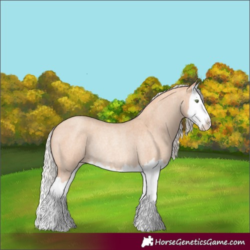 Horse Color:Silver Amber Champagne Roan Splash Rabicano